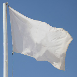 Ny flagga till flaggstång